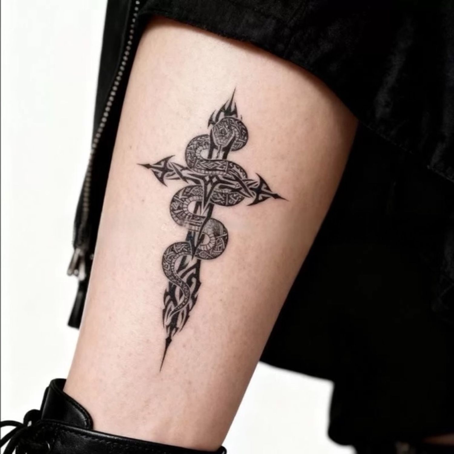 Жижиг загалмайт могой