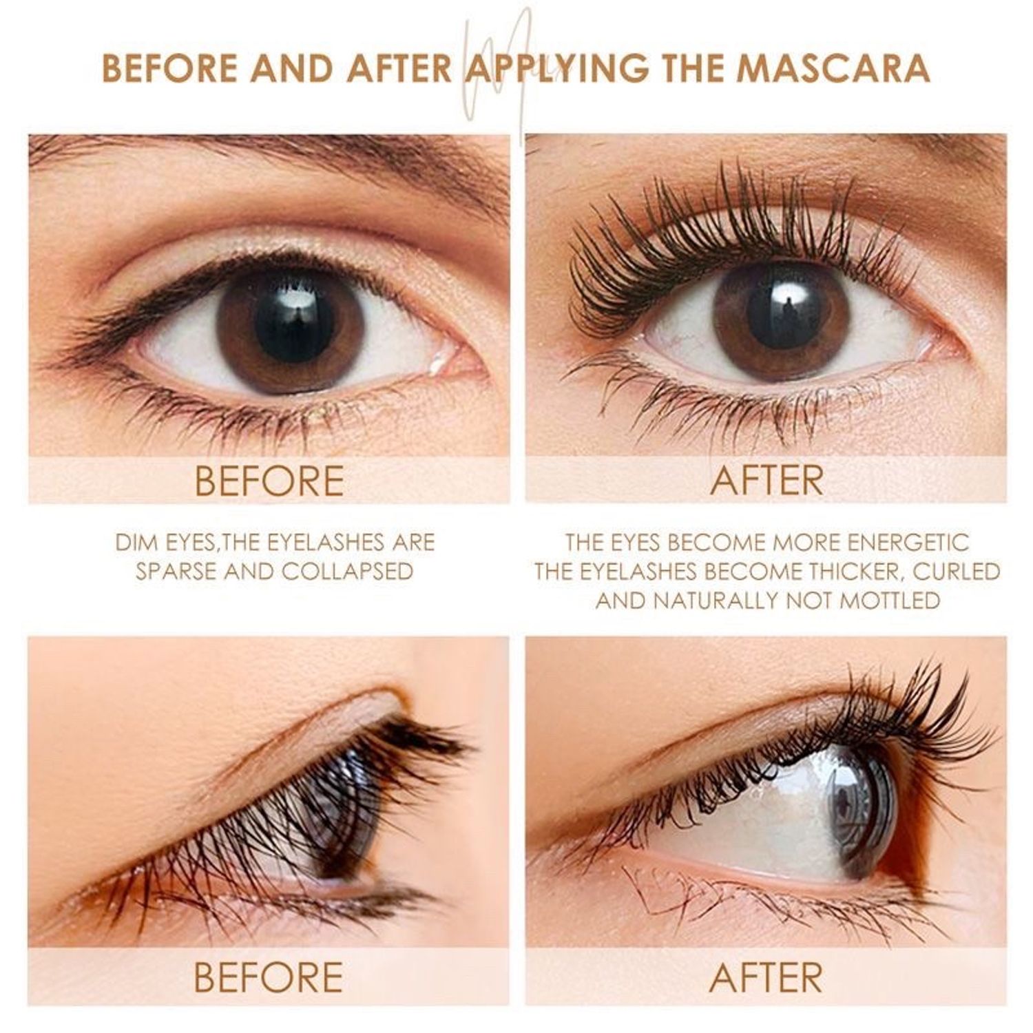 https://cdn.zochil.shop/ddd9885d-b1d8-4baf-b053-3065ed1d9e8f_t1500.jpg