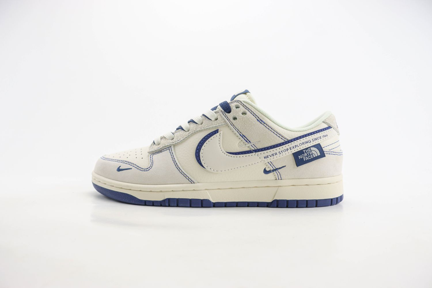 Nike SB Dunk Low x  The North Face 08