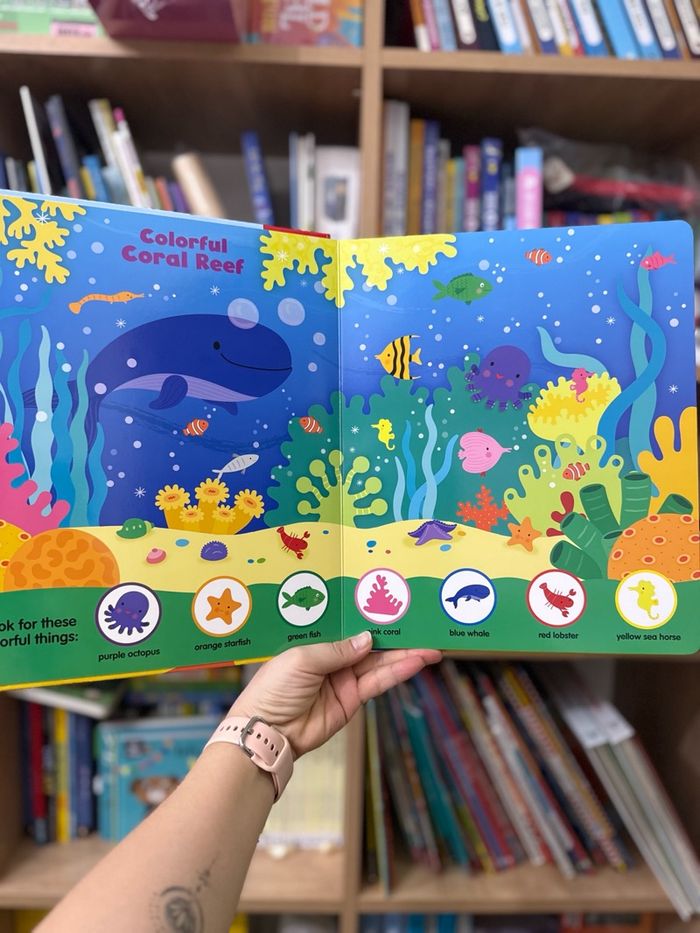 Search&Find Under the Sea