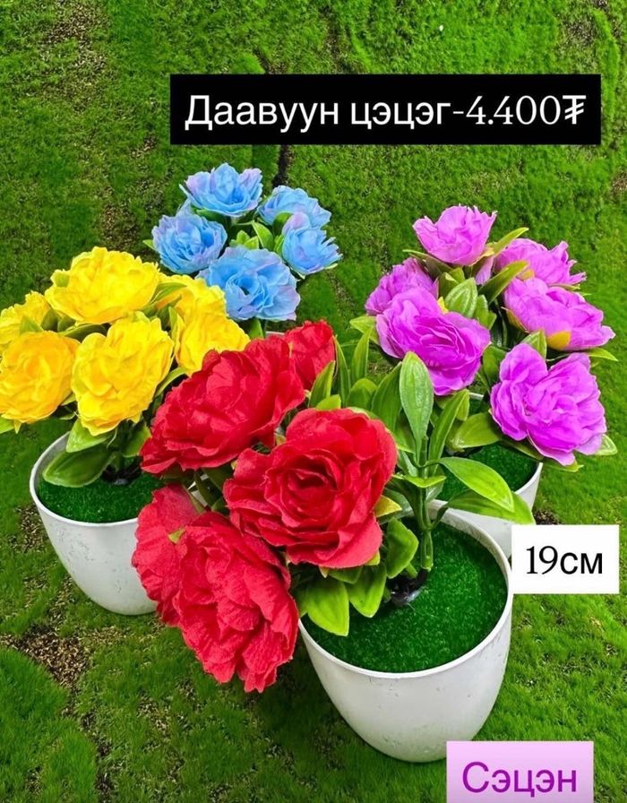 Даавуун цэцэг