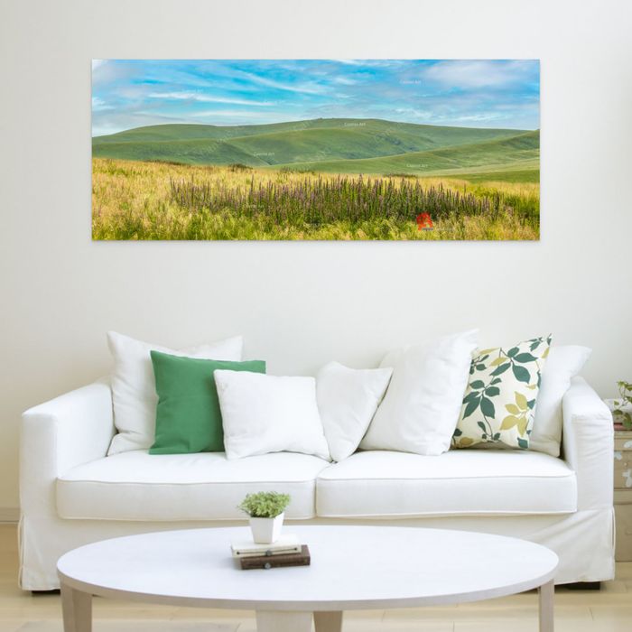 Вангийн цагаан уул