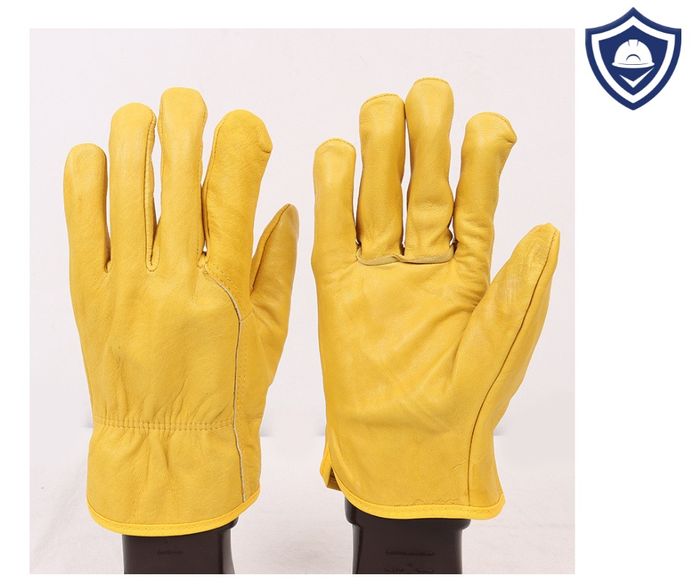 Арьсан ажлын бээлий