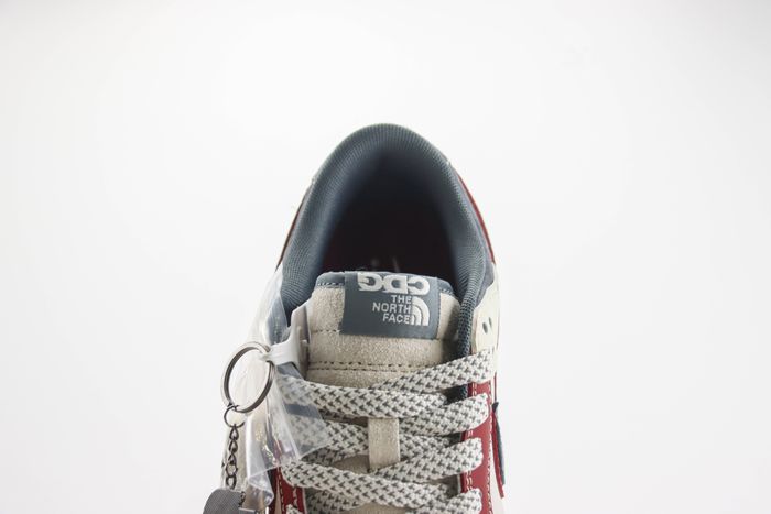 Nike SB Dunk Low x  The North Face 07