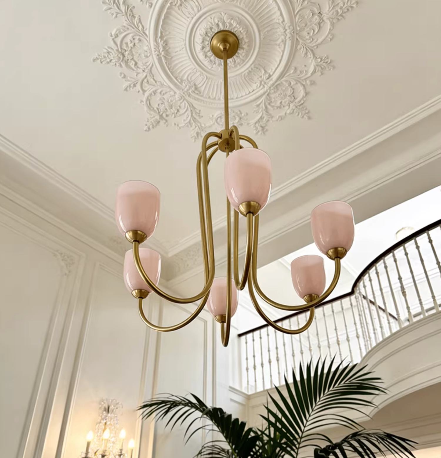 Захиалгын гэрэл 