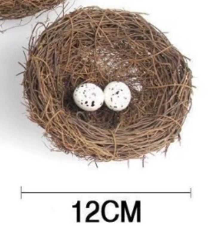 Шувууны үүр