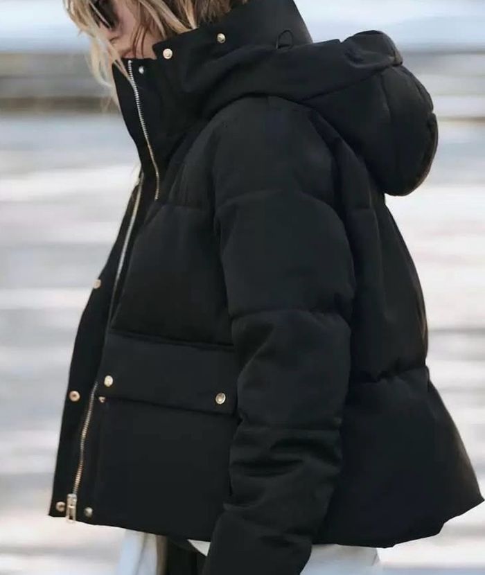 Куртик- шар товчтой