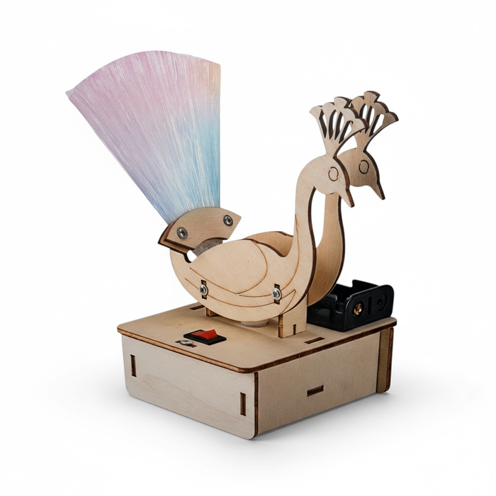 “C STEM” брэндийн гэрэлтдэг тогос