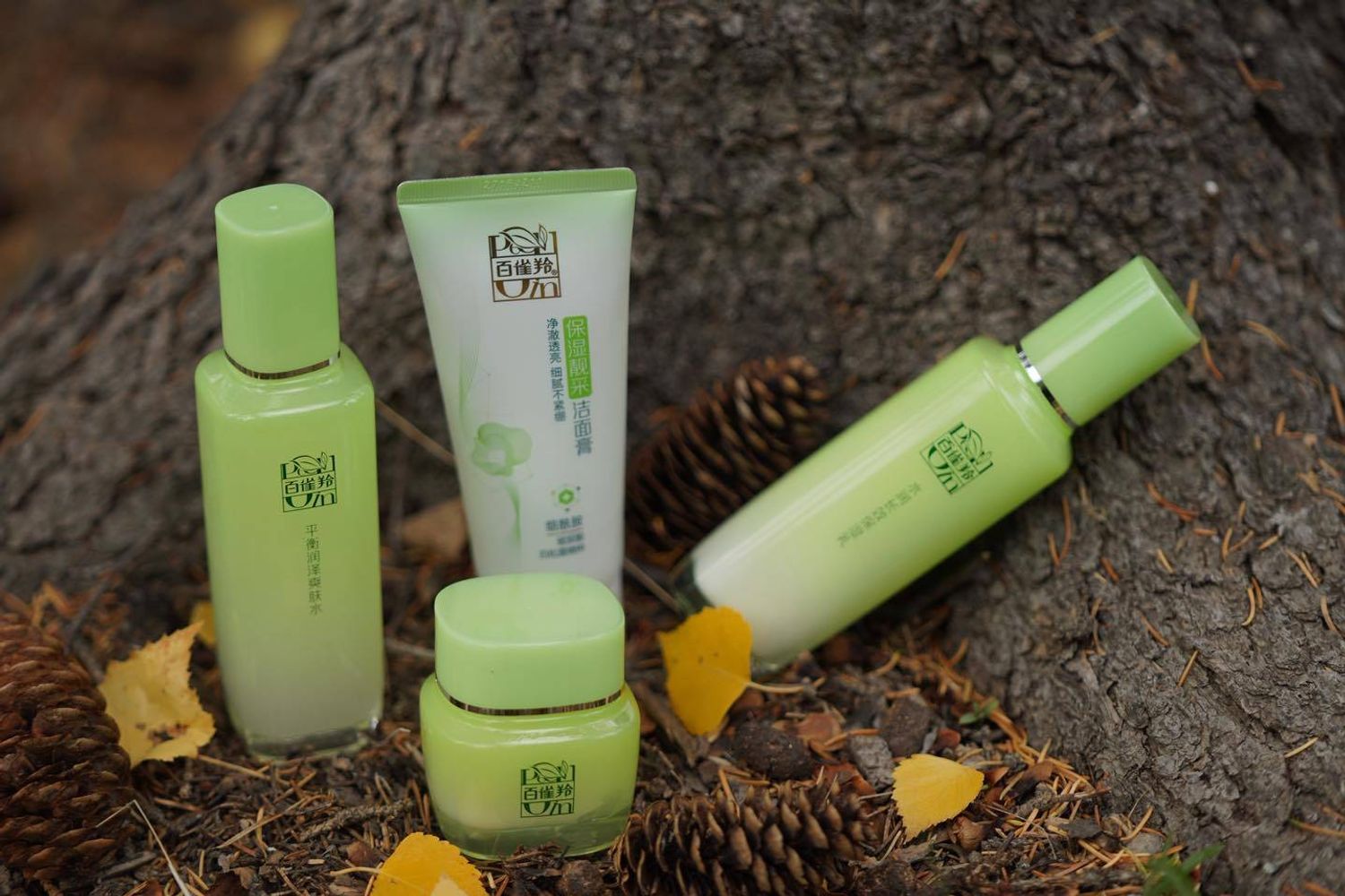 Оливтой сет 