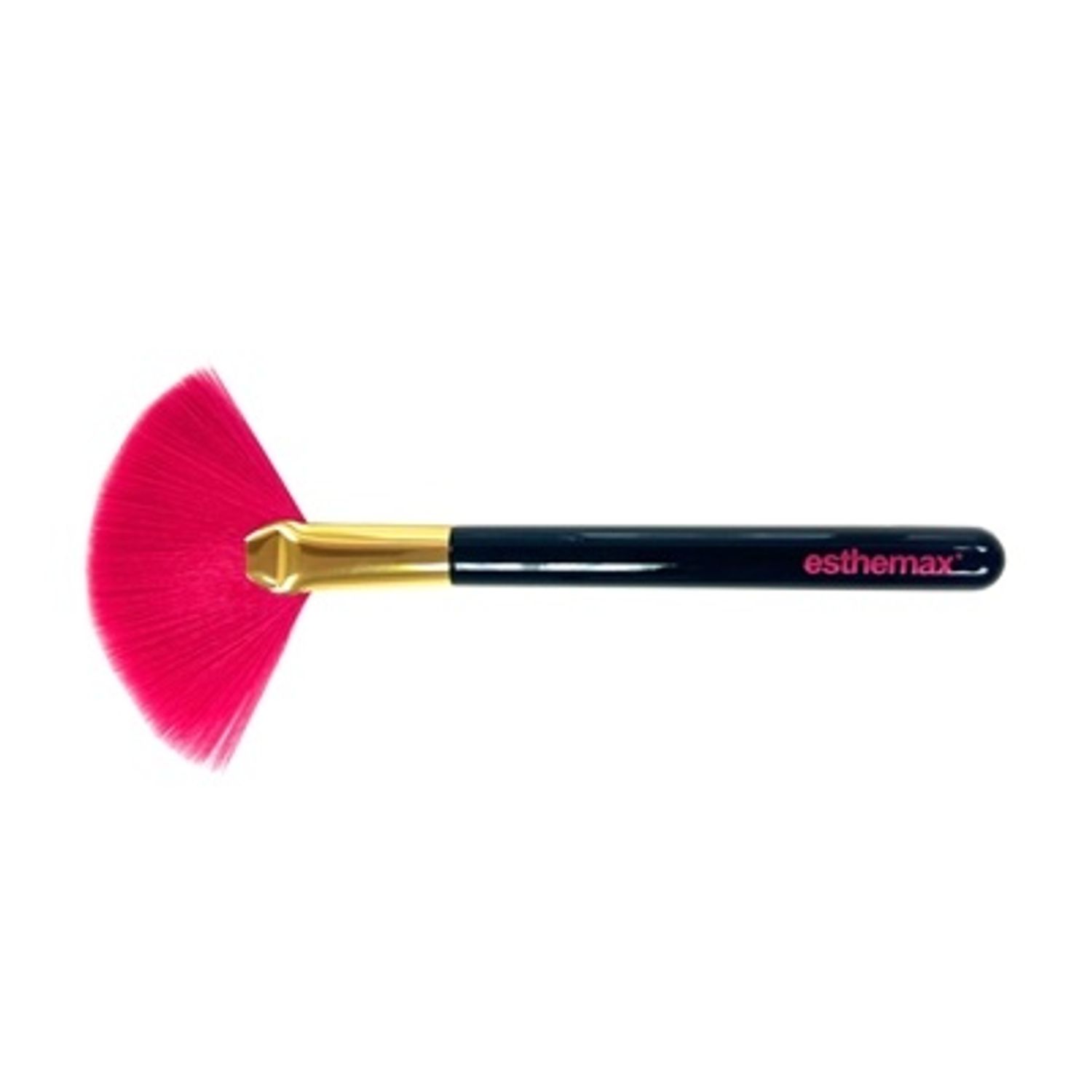 Brush / Үстэй багс