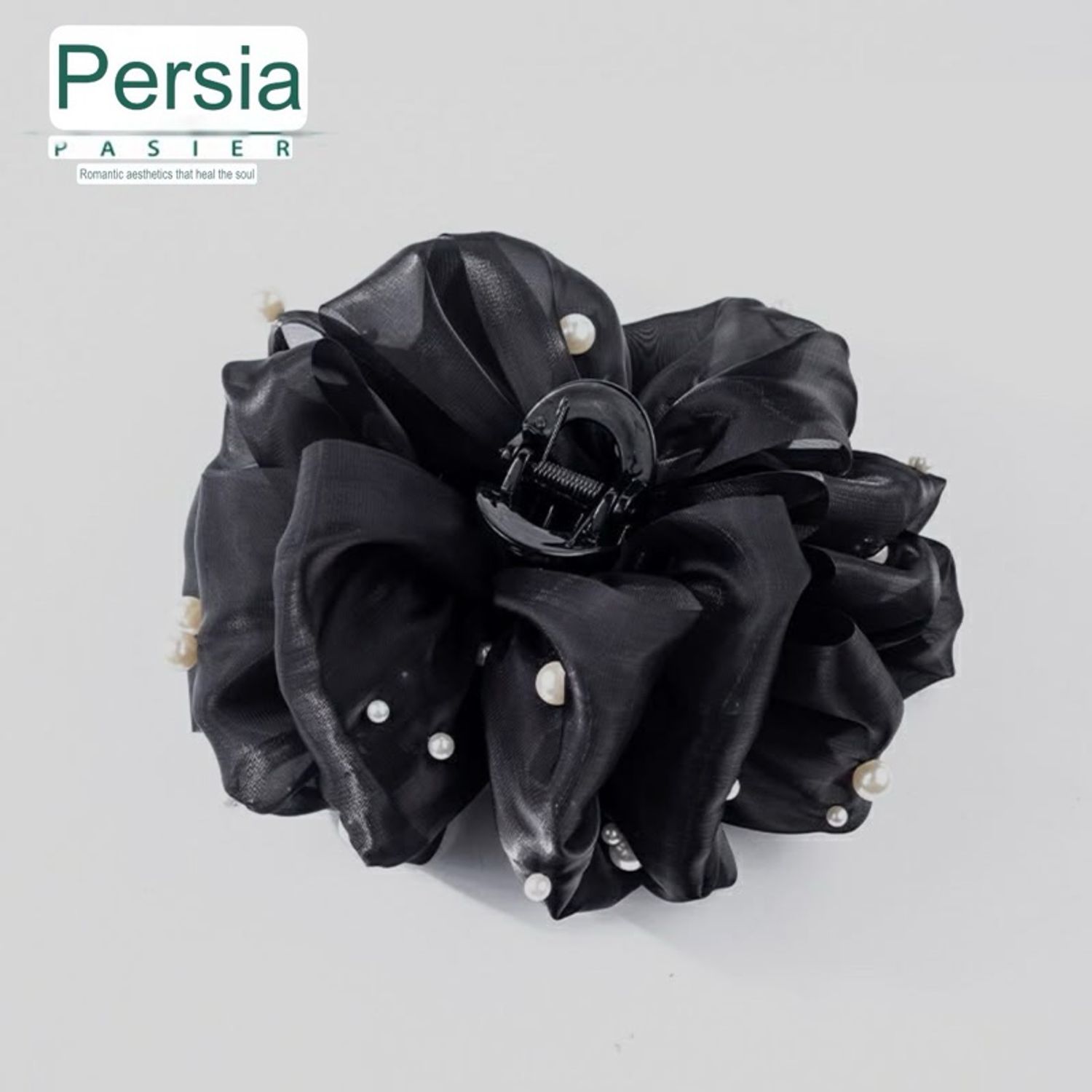 PASIER Үсний Хавчаар 