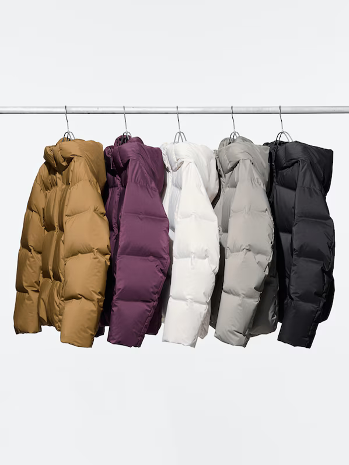 Сөдөн куртик