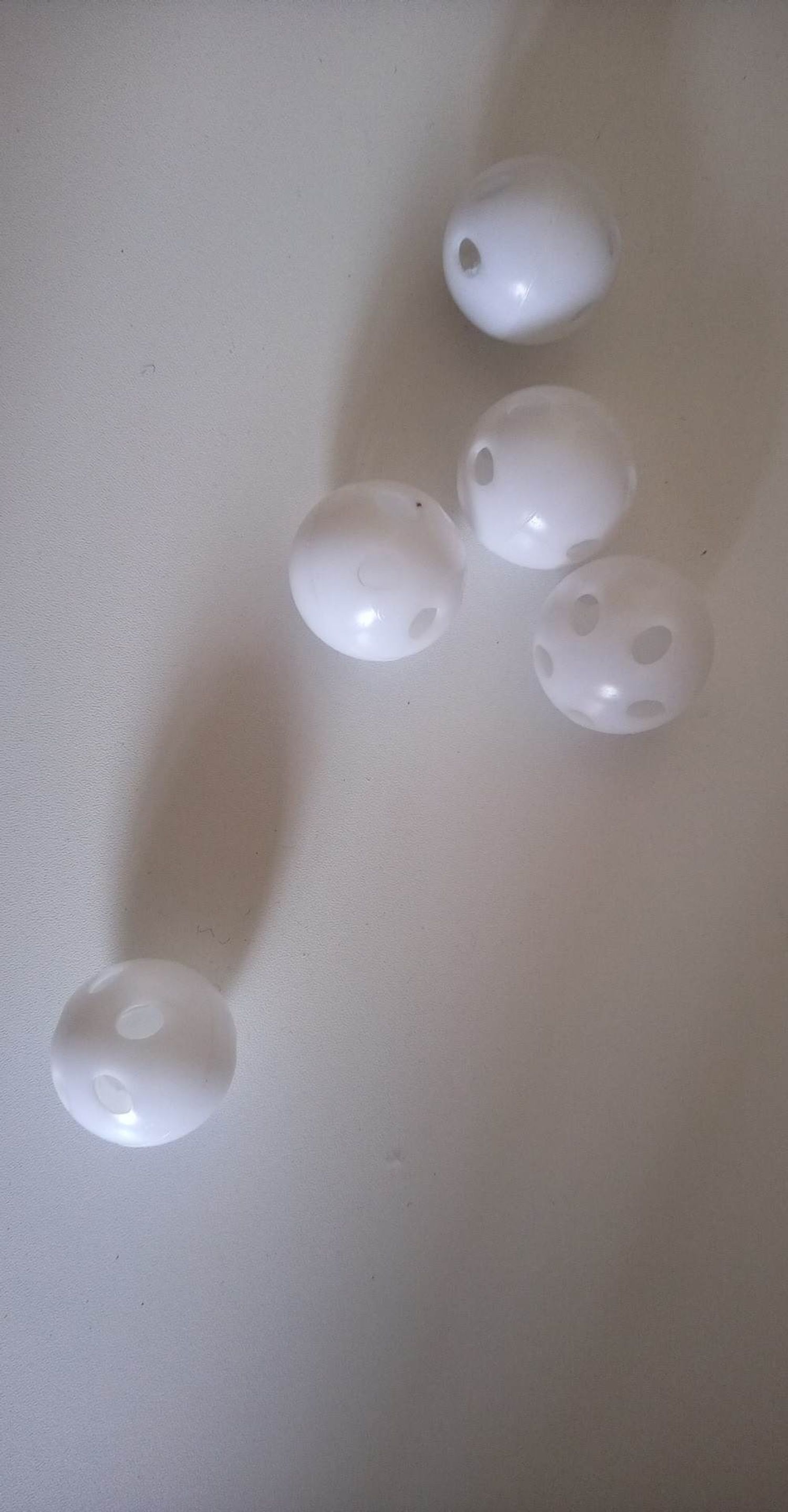 шаржигнуур