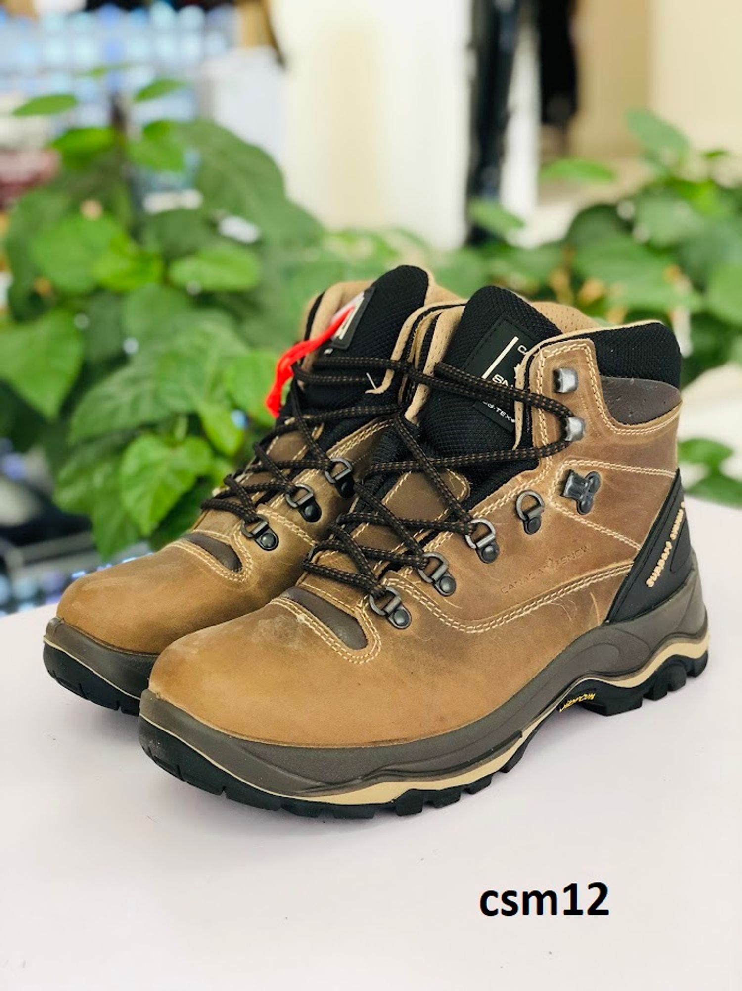 Canada snow  / csm12 /