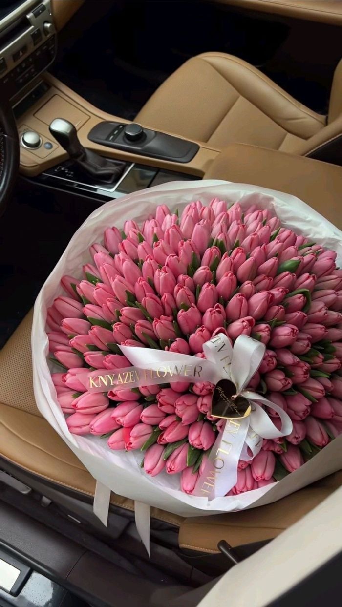 Голланд алтанзул 