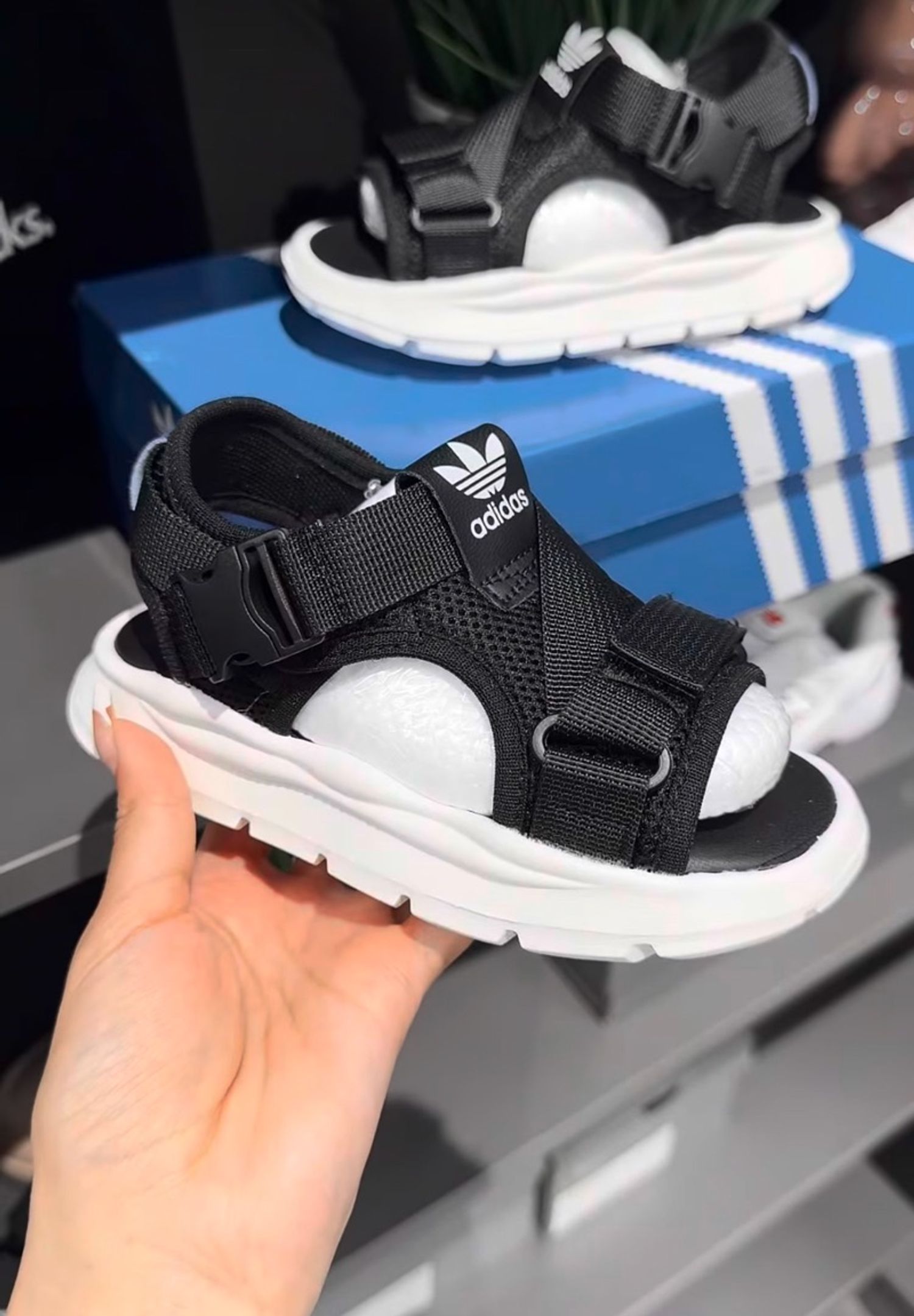 Adidas Sandal Black HEI