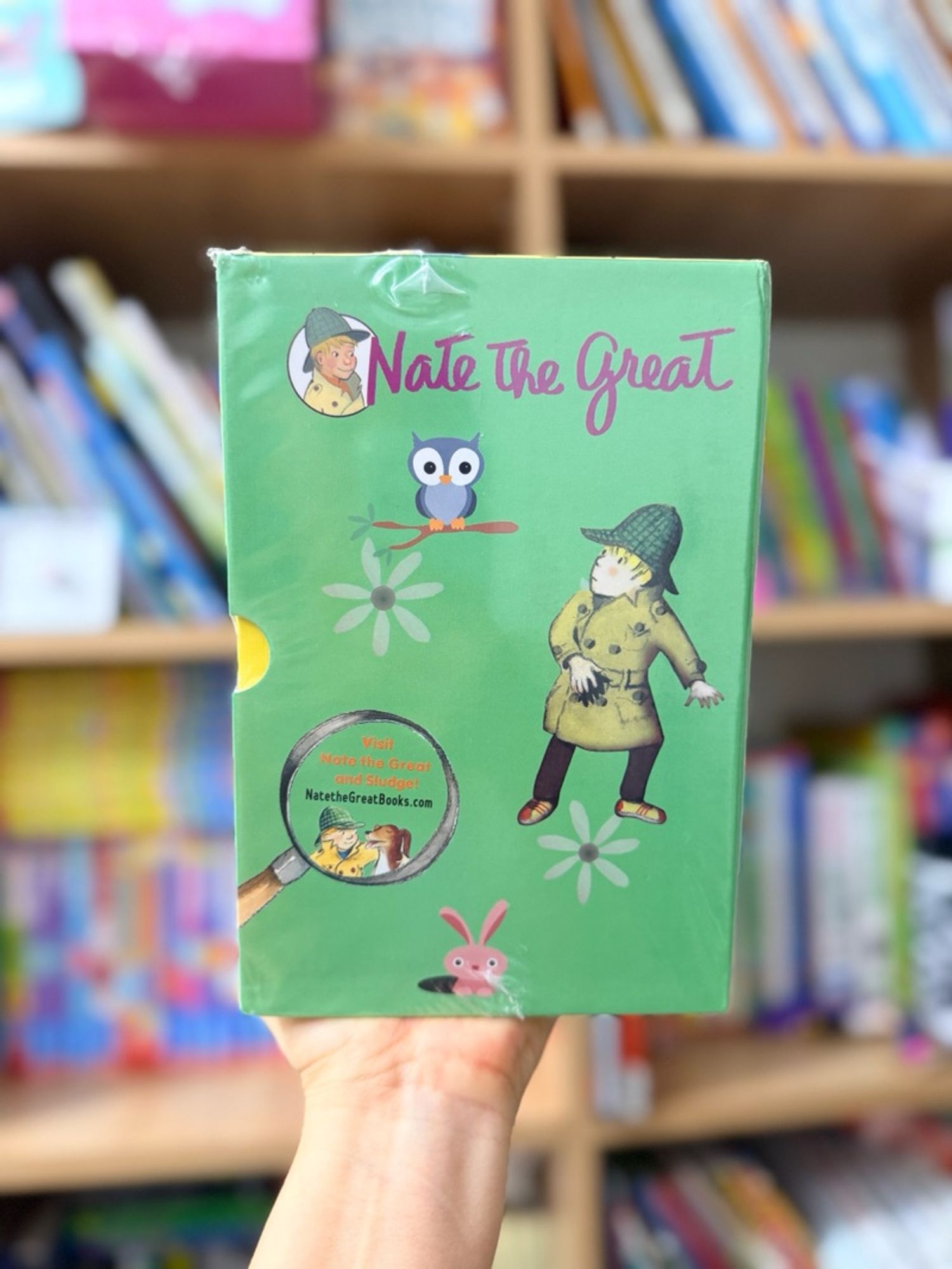 Nate the great (30books) 