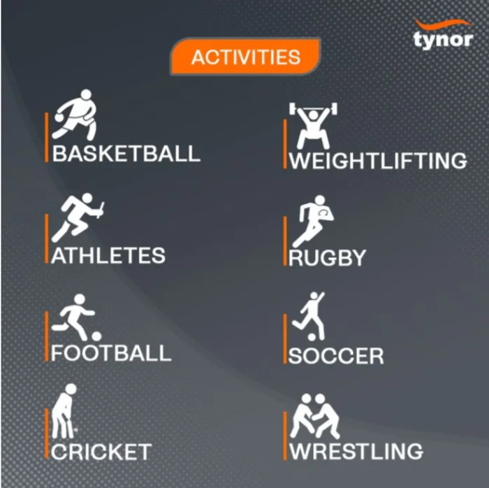 Шагайн хамгаалалт 