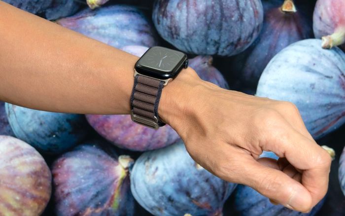 Apple Watch Band – SOLAR 07 Fig