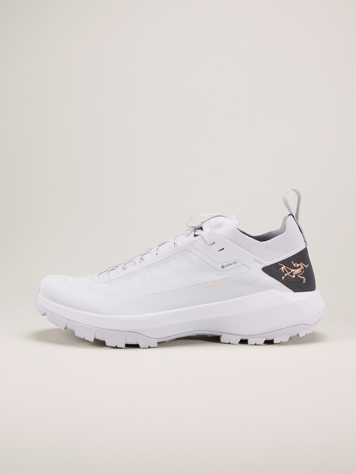 Arc'teryx | Vertex Alpine | GTX | Men 