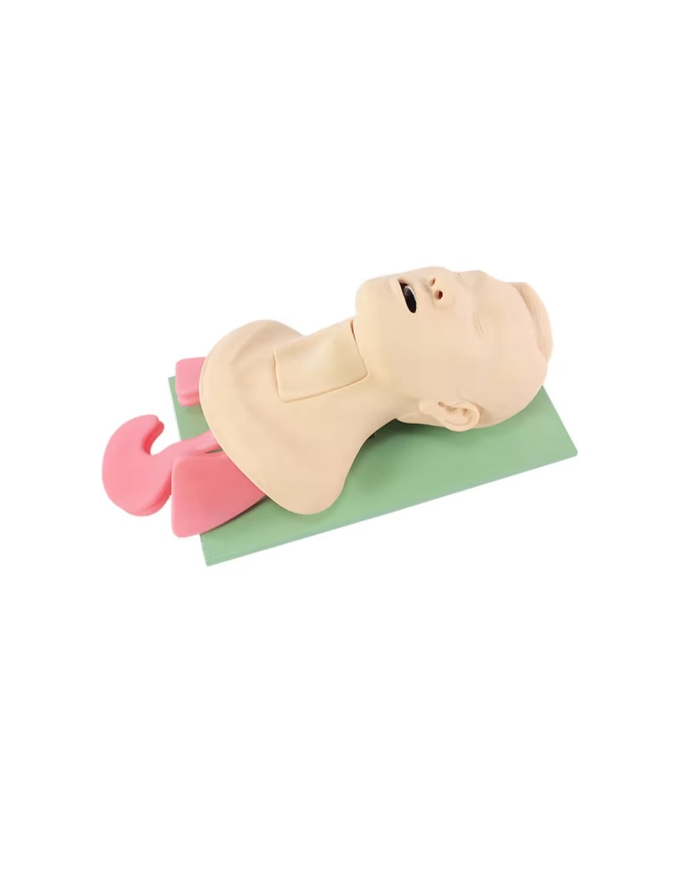 Амьсгалын замын менежментийн ахисан түвшний загвар