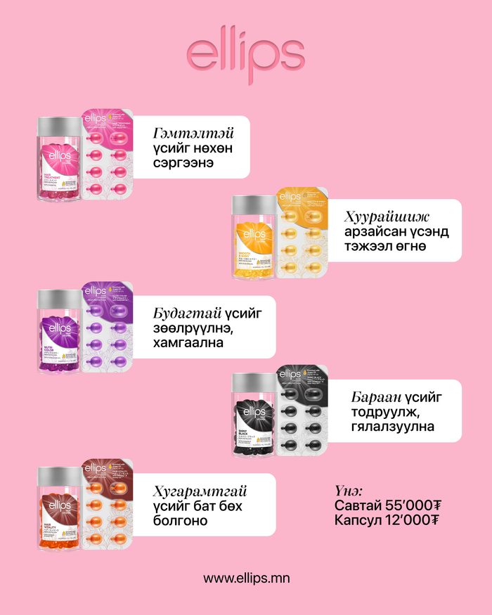https://cdn.zochil.shop/e6193639-53d9-46a9-9bd3-d7ced13e530e_t700.png