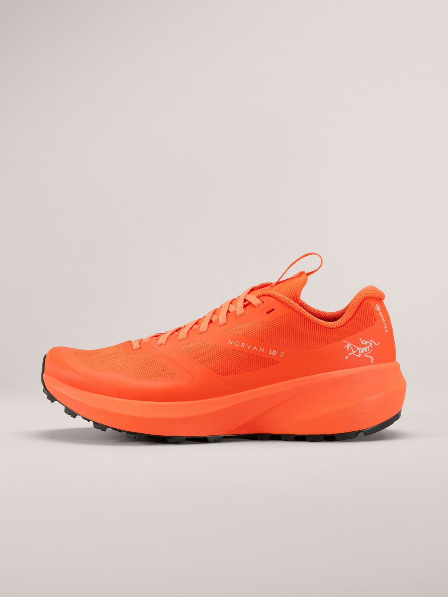 Arc'teryx | Norvan LD 3 | GTX 