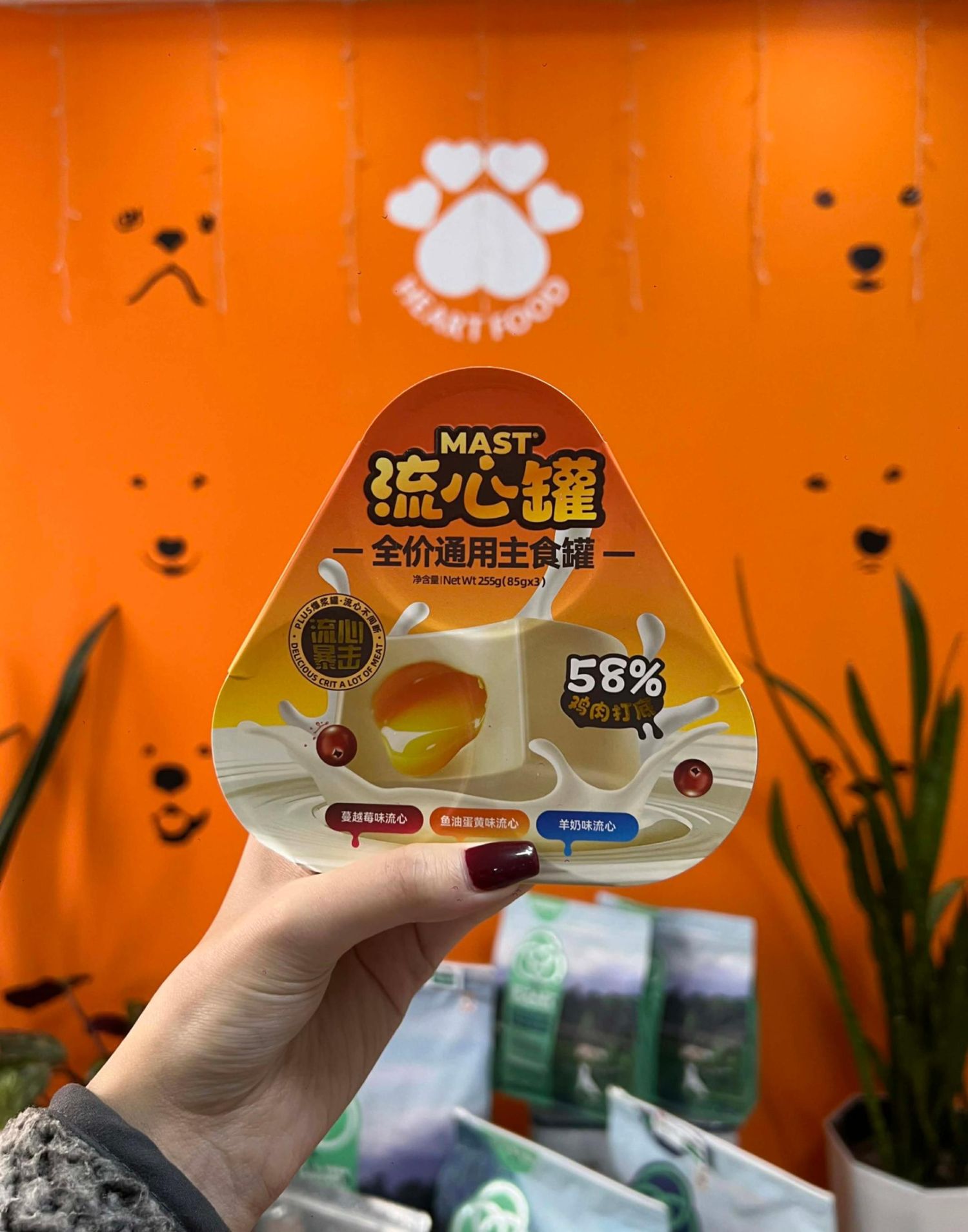 MAST Lava - Муурны лаазалсан нойтон хоол