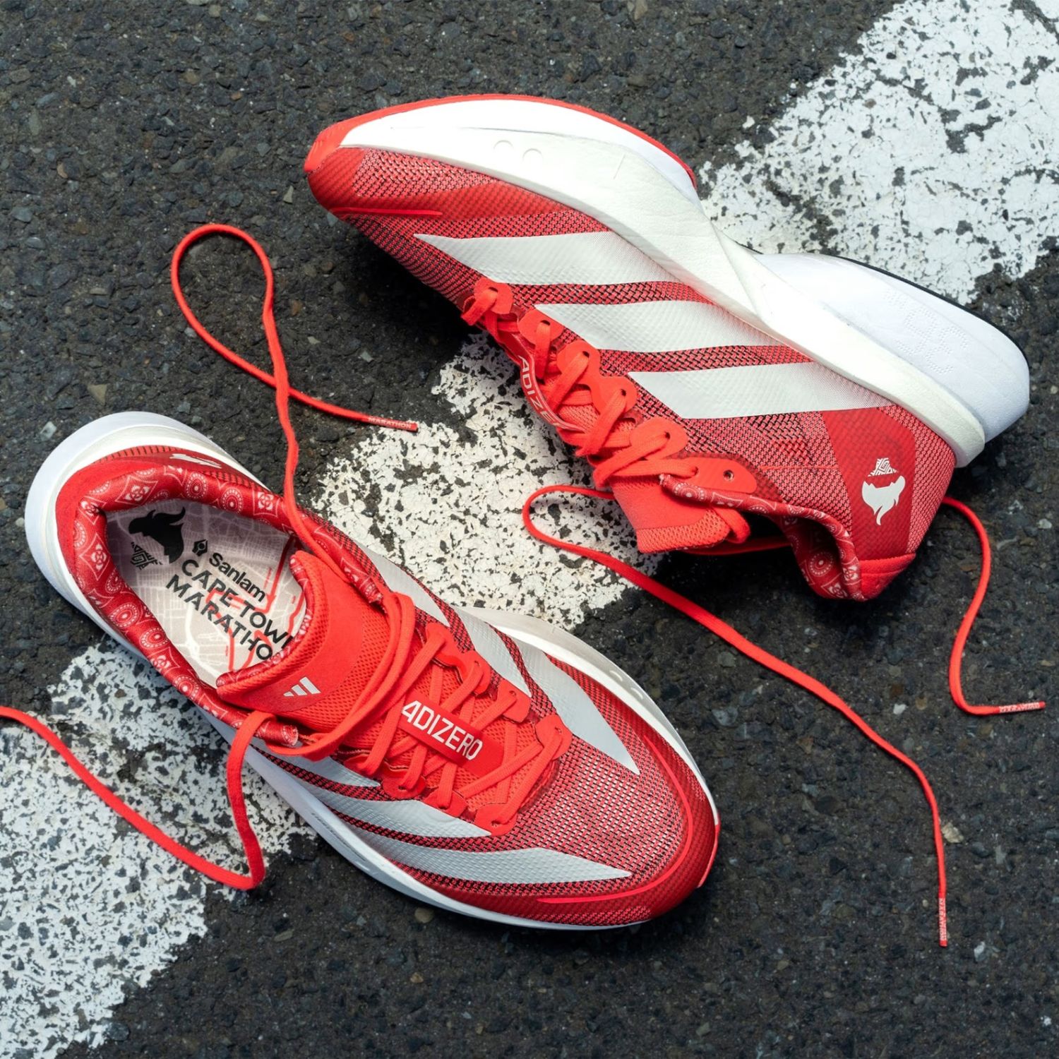 Adidas | Adizero Boston 13 Shoes Sanlam Cape Town Marathon