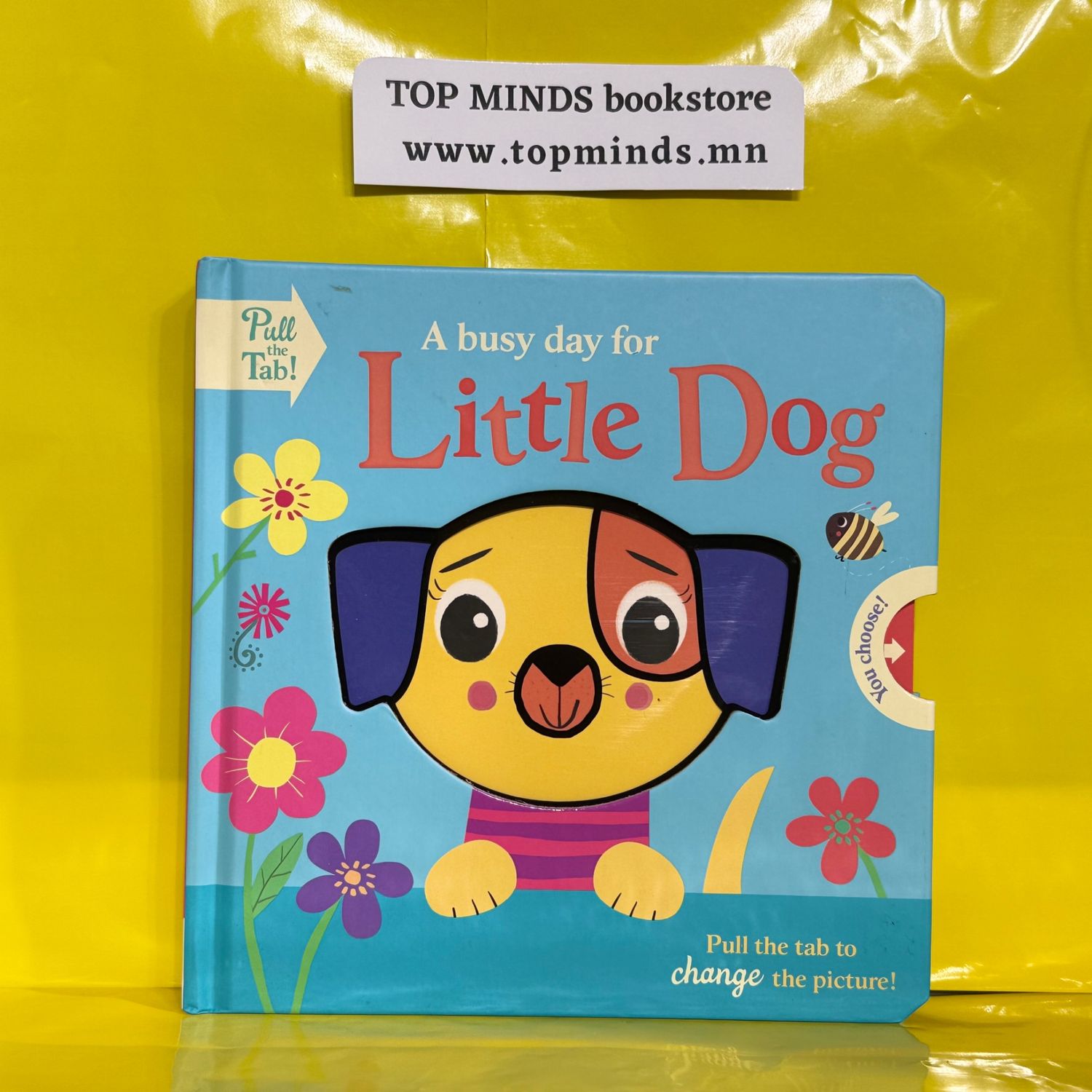 A busy day for Little dog 