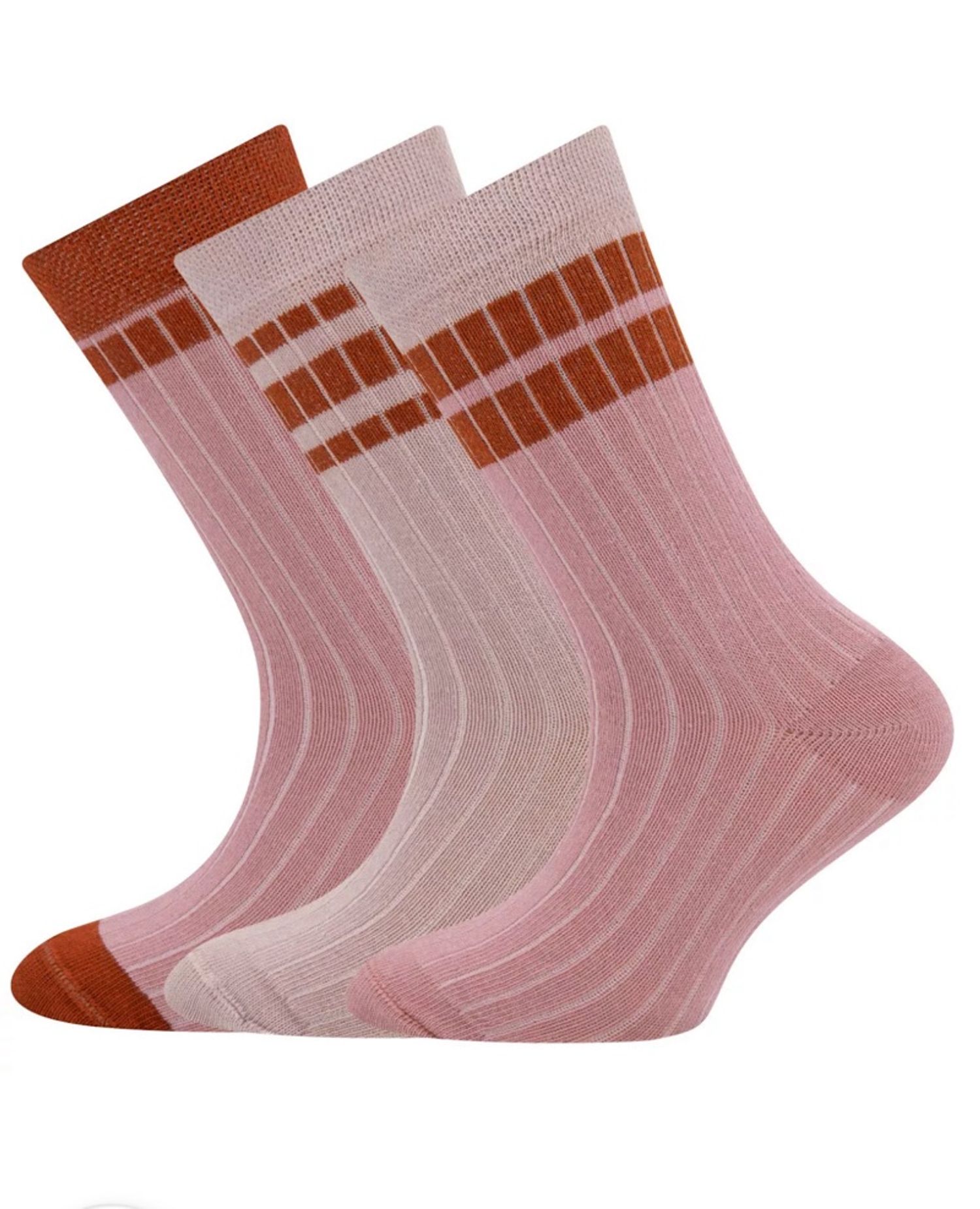 RIPPE/ RINGFL3 хос 