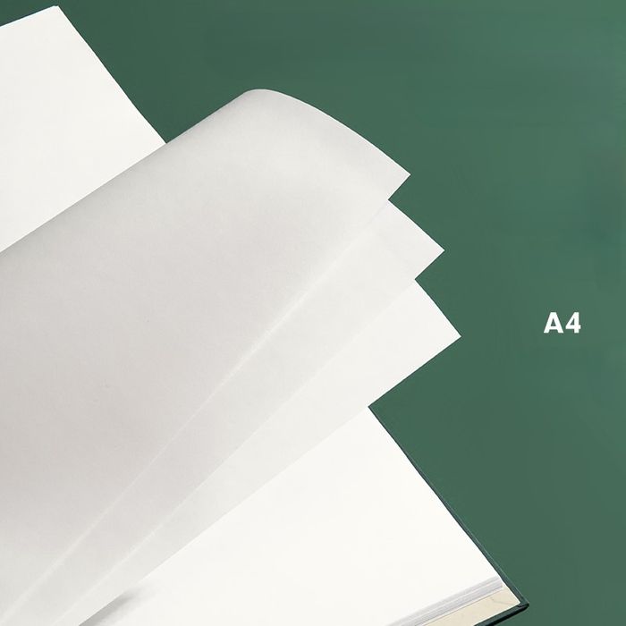 Зургийн дэвтэр A4 DL NS735