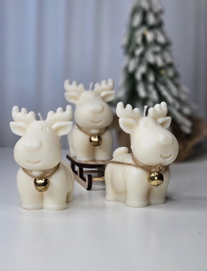 Цаа буга хэв