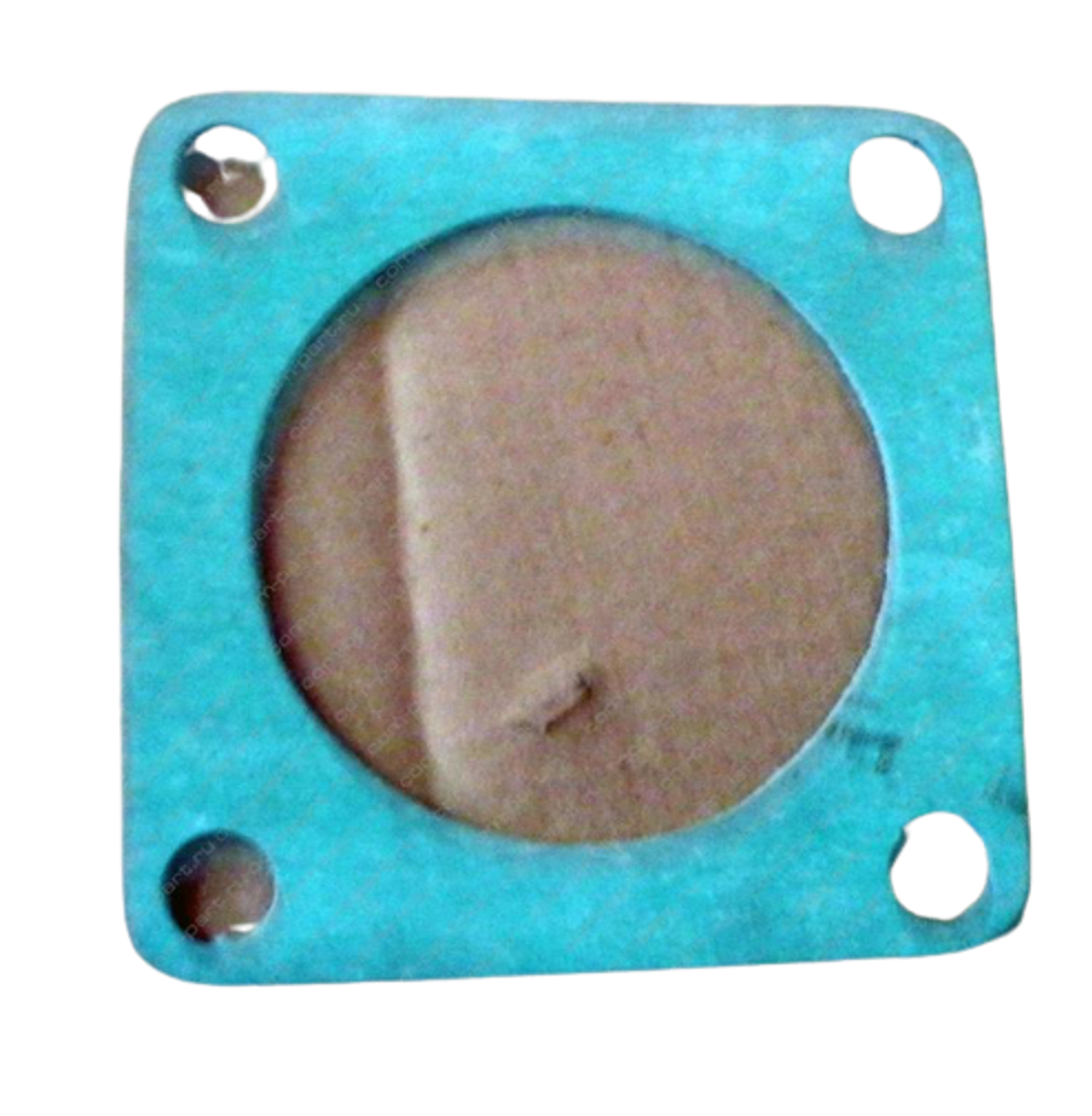 Gasket, Жийрэг