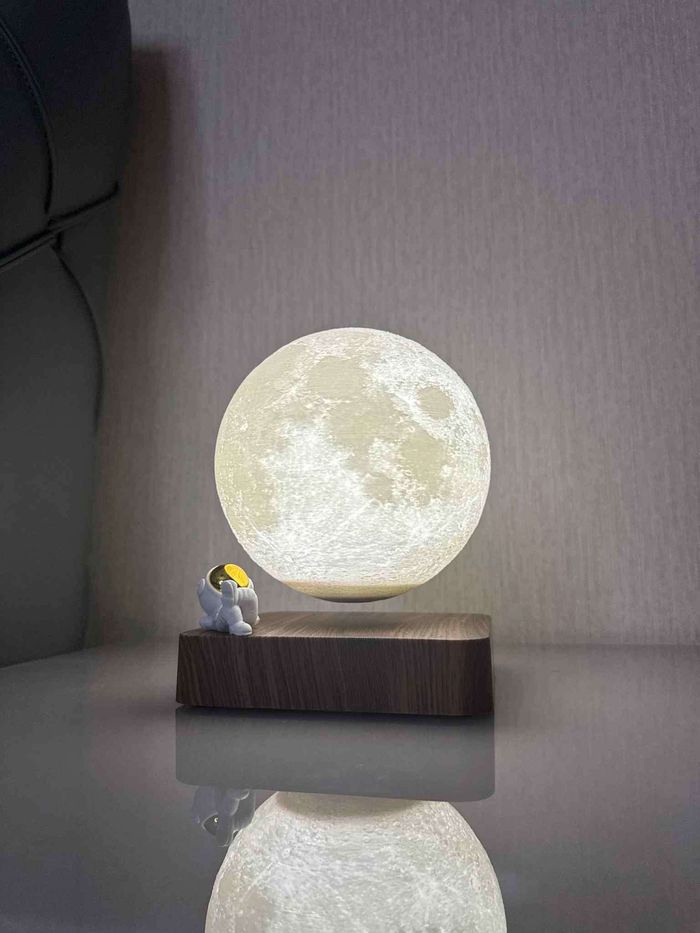 Dream Color Хөвдөг сар