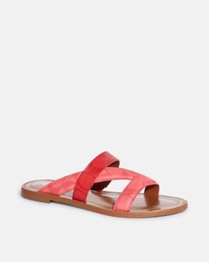 COACH Harlan Sandal women