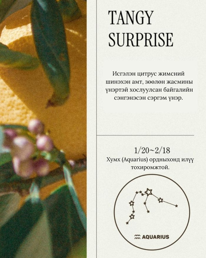 Perfume Hand Cream 50ml Tangy Surprise