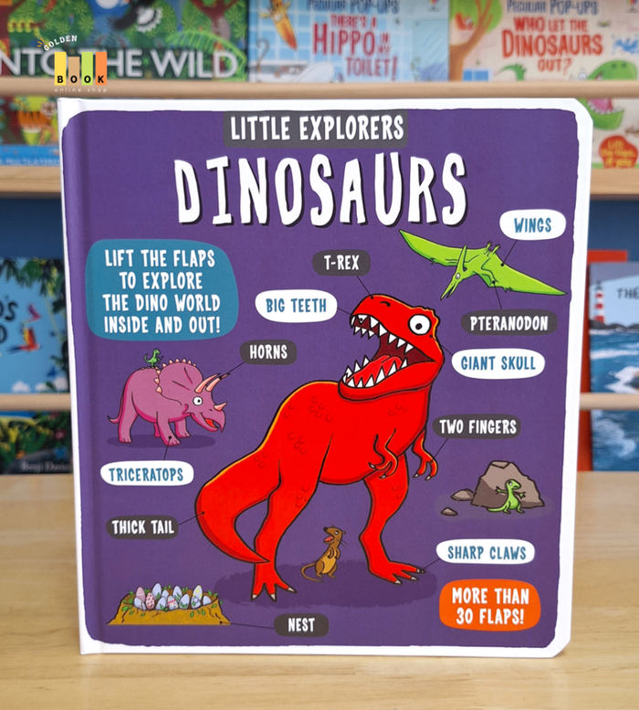 Little Explorers Dinosaurs 