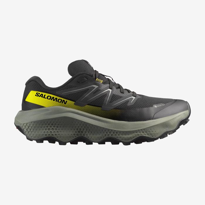 Salomon | ULTRA FLOW 2 GORE-TEX | Men