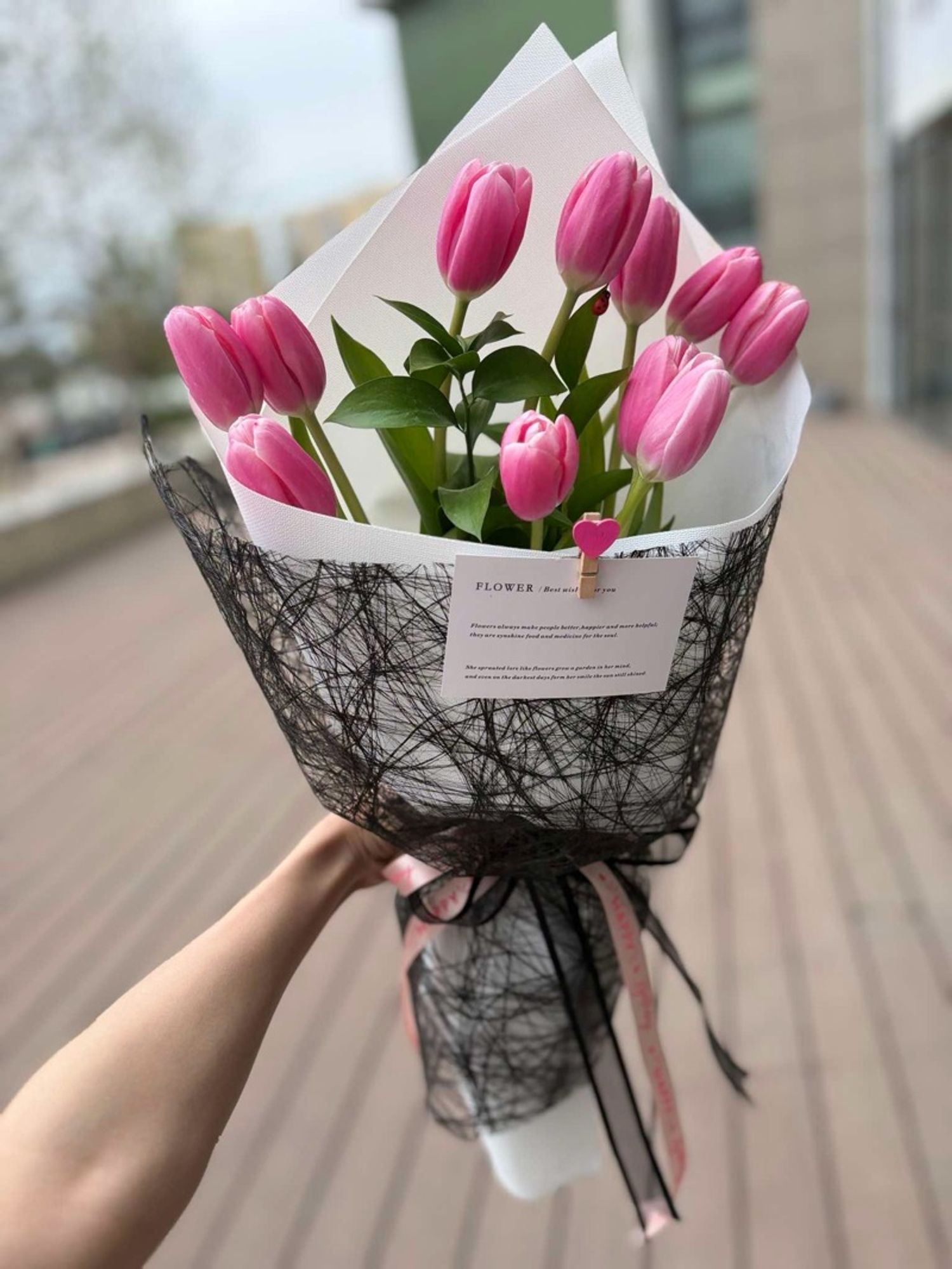 Голланд алтанзул
