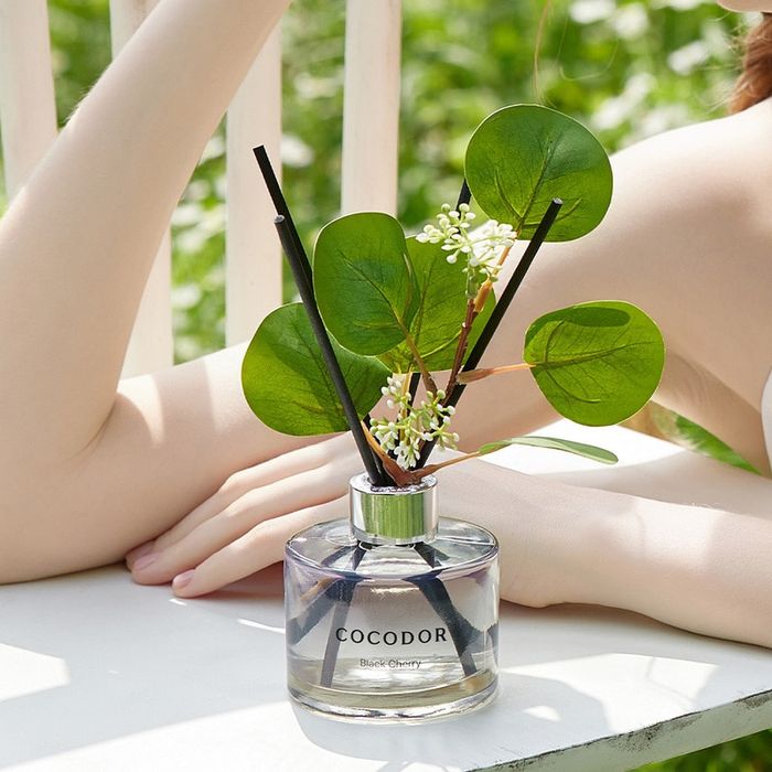 Cocodor Forest Diffuser 200ml