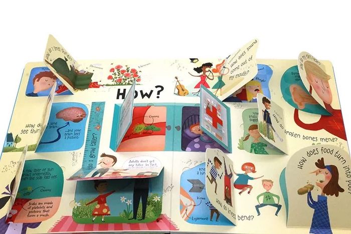 Questions and Answers about your BODY