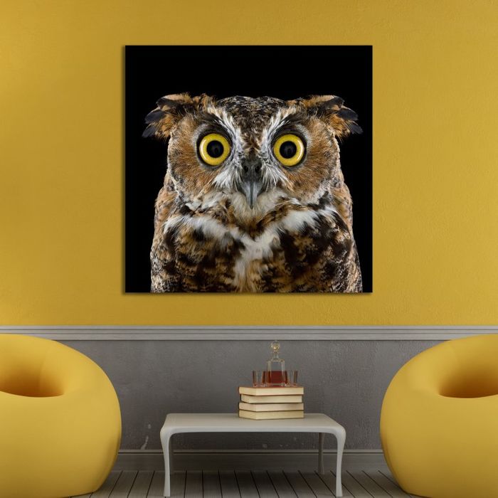 Шар шувуу /хар фонтой/