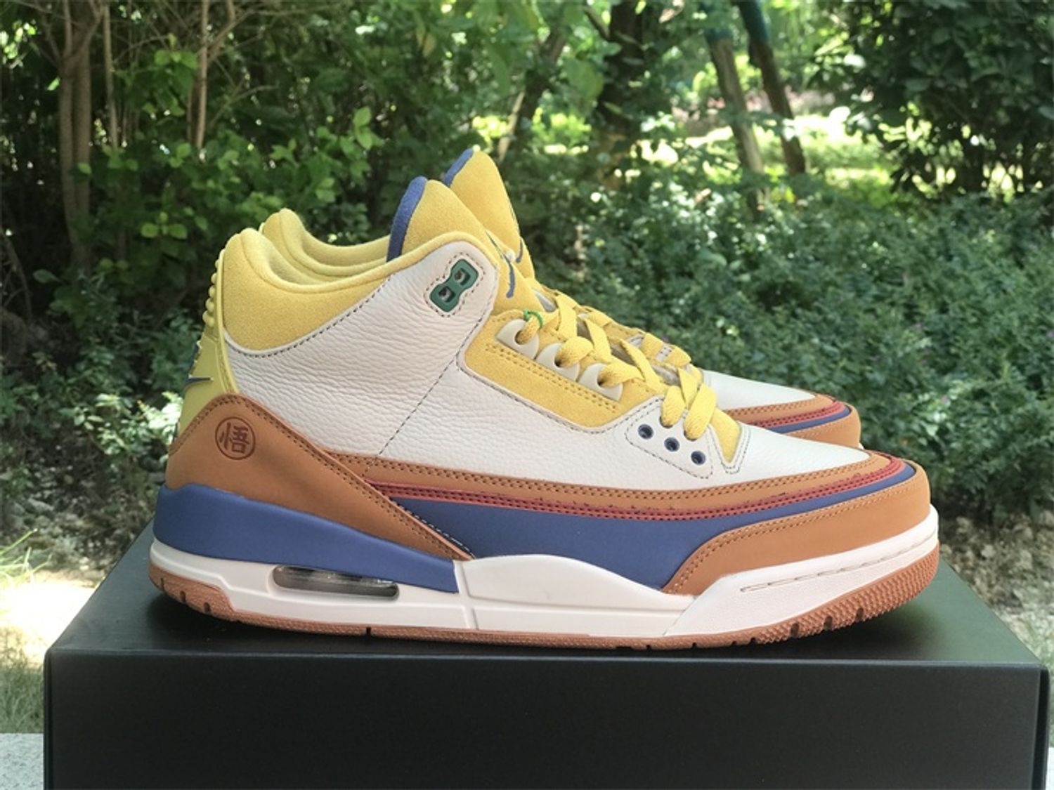 Nike Air Jordan 3 Retro”GOKU”