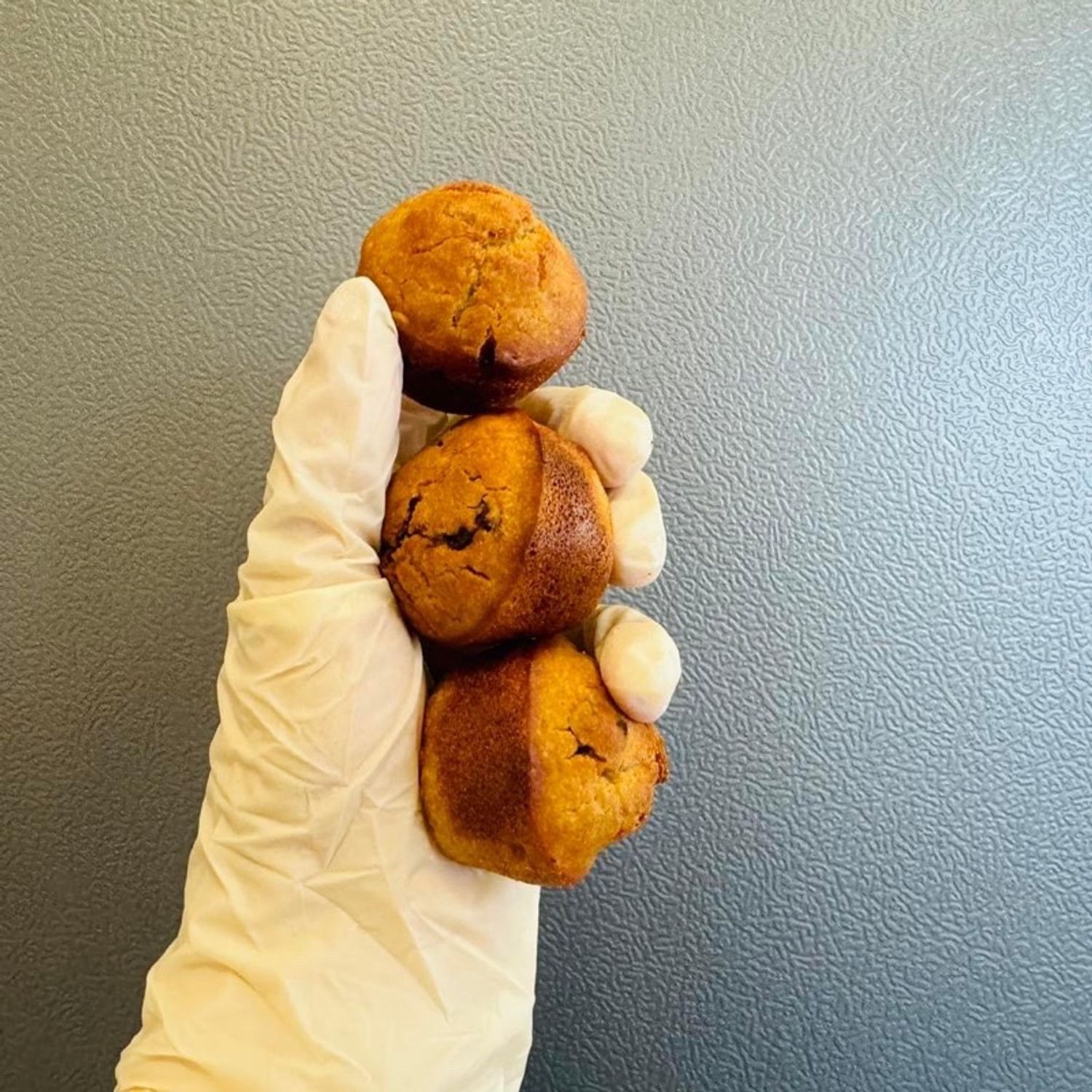 Цангистай амттан