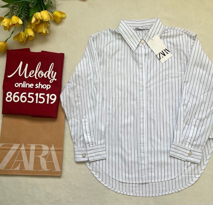  tsagaan sorochik(har sudaltai)