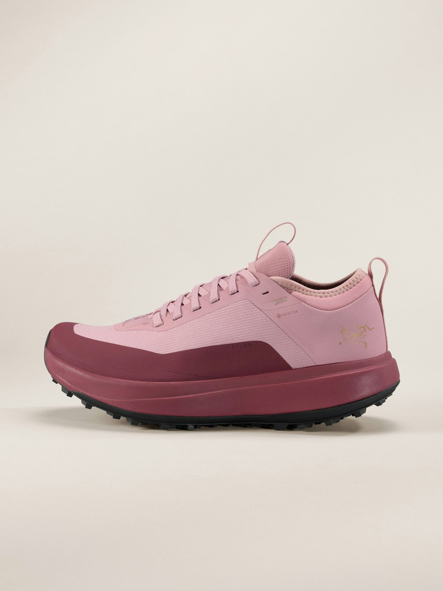 Arc'teryx | Sylan GTX | Women 