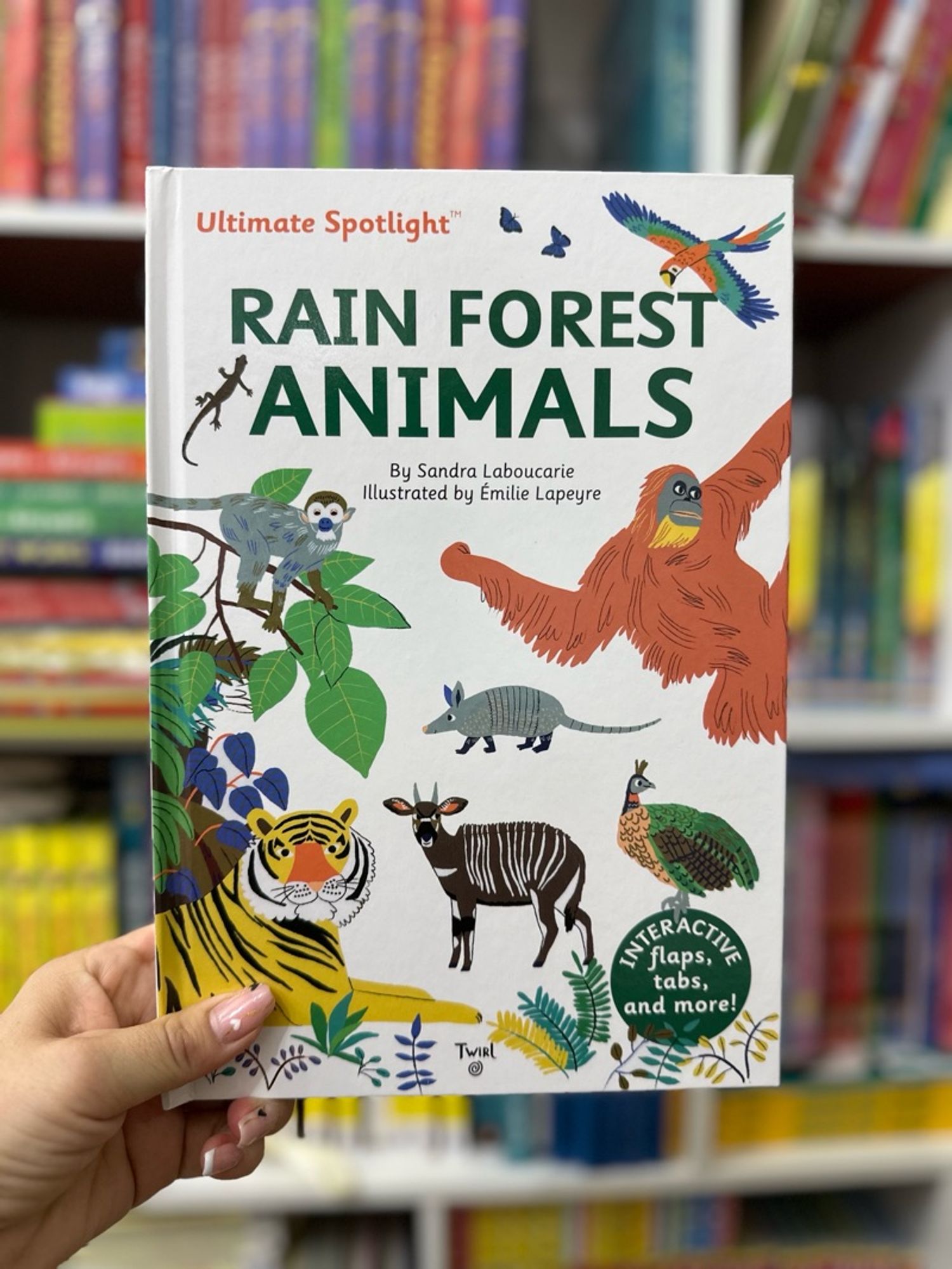 Rain forest animals