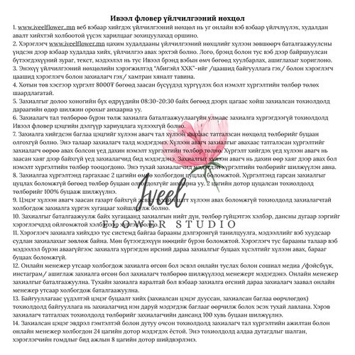 Үйлчилгээний нөхцөл