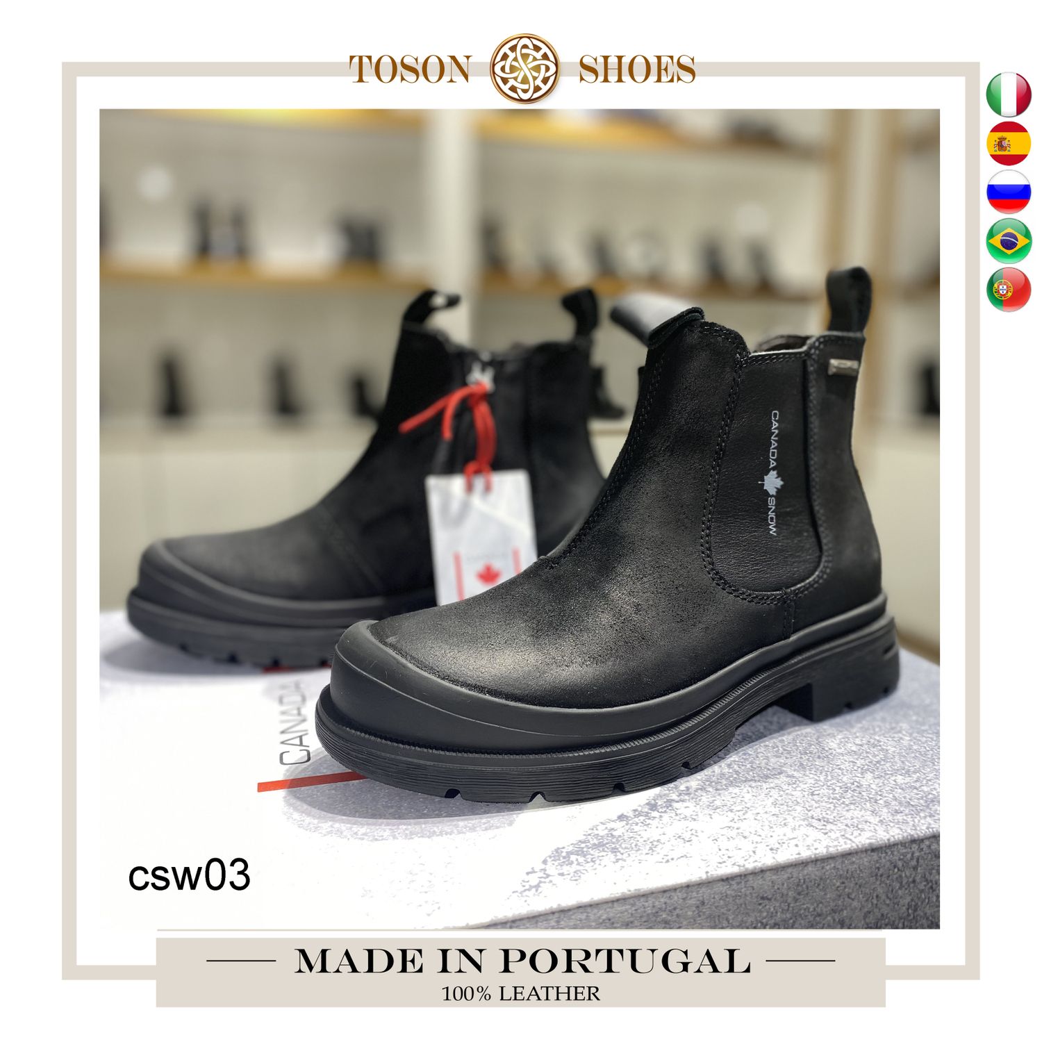 Canada snow хавар намар   csw03